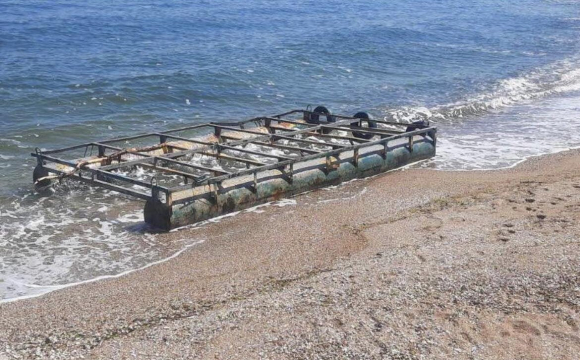 Чорне море перетворюється на сміттєзвалище та кладовище тварин. ФОТО/ ВІДЕО