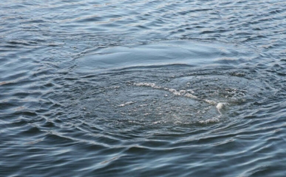 У Волинській області в озері втопився 45-річний чоловік