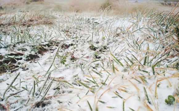 В Україні випаде мокрий сніг