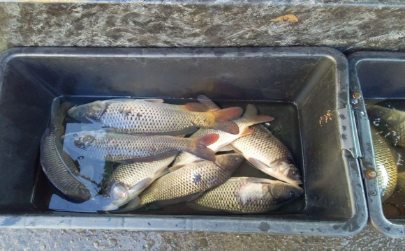 19 порушень Правил рибальства – результати рибоохоронної роботи за тиждень на Волині
