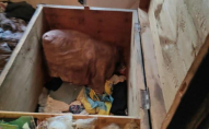 Двох зниклих діток знайшли мертвими у старій скрині, вони задихнулися. ФОТО