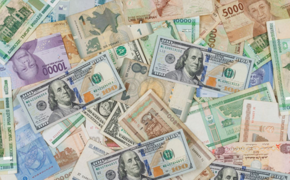 На заході України злочинна група збувала фальшиву валюту