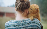 Як зрозуміти, що кіт вас любить