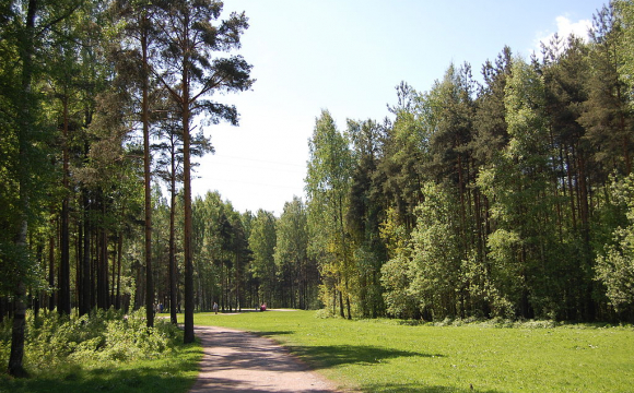 Жінка та двоє чоловіків у парку зайнялися сексом. ФОТО