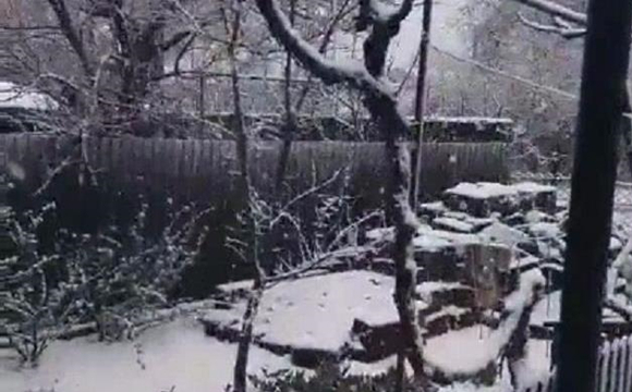 Одеську область засипало снігом
