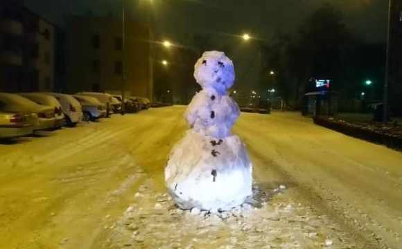 У Польщі викликали поліцію через сніговика