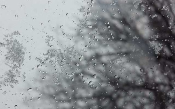 Мокрий сніг та холод: якою буде погода на заході України 29 листопада