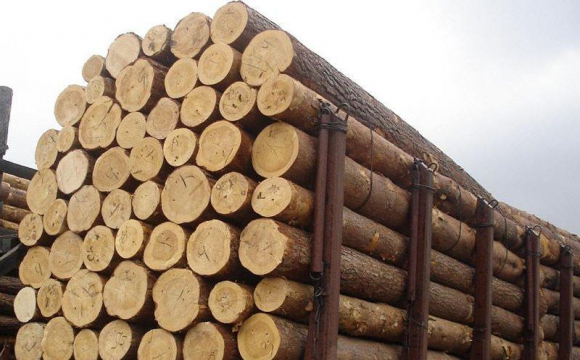 На волинському кордоні намагались контрабандою вивезти деревину