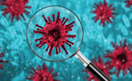 У двох країнах Європи шириться новий вид коронавірусу