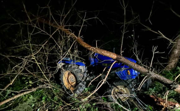 У лісі біля села перекинувся трактор: загинули водій та пасажир