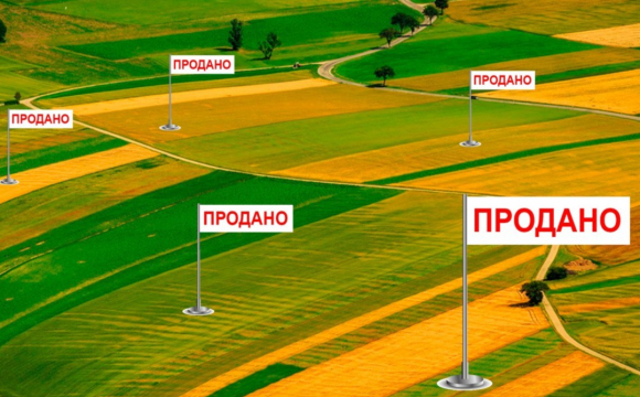Скільки коштуватиме гектар землі в Україні та на Волині