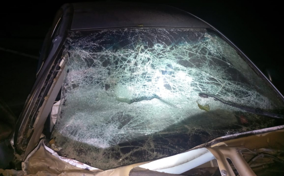 У селі водійка авто влетіла у бетонну огорожу: постраждала ціла сім'я. ФОТО