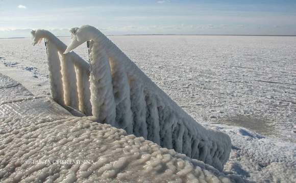 Азовське море вкрилося льодом. ФОТО