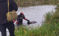В озері на заході України втопилася жінка. ФОТО
