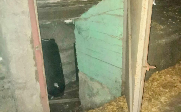 Підв'язали до стелі підвалу з кляпом у роті: поліція врятувала чоловіка. ФОТО