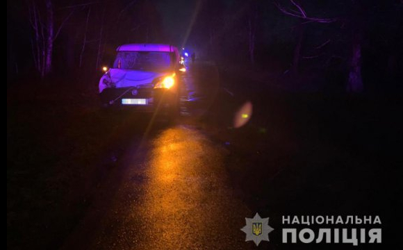 Біля дороги Київ-Ковель водій збив двох дітей: 10-річний - не вижив. ФОТО