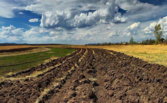 Скільки коштує земля на заході України