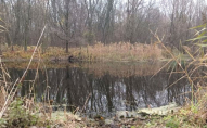 На заході України з річки витягли тіло чоловіка