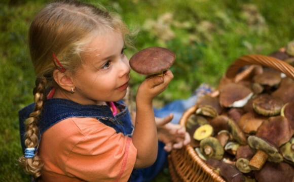 8-річна дівчинка отруїлася грибами