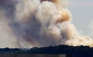 Окупанти обстріляли прикордонну область: після 35 «прильотів» почав горіти ліс. ФОТО