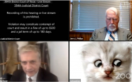 Прокурор, через фільтр у Zoom, включився в судове засідання в образі кота