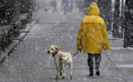 Весняна негода: Україні прогнозують мокрий сніг, дощ і туман